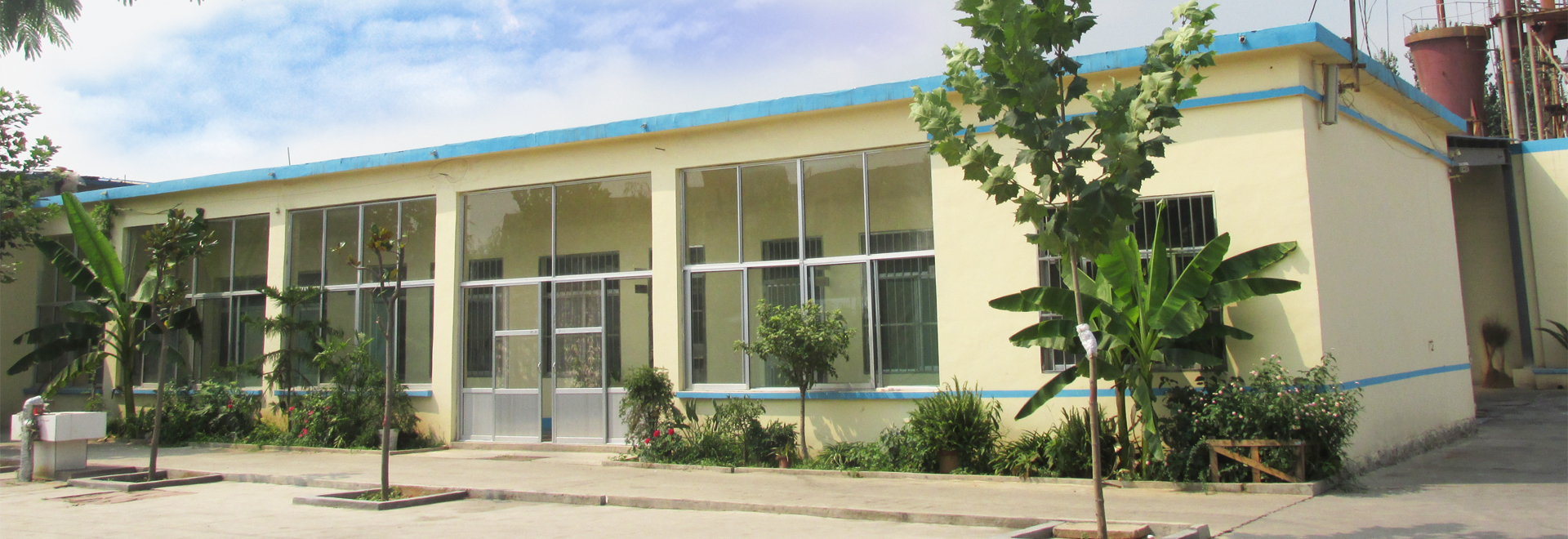 �c��DƬ�鿴���